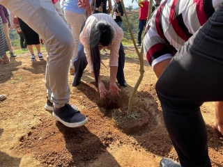 whatsapp image 2025-06-30 at 13.41.07