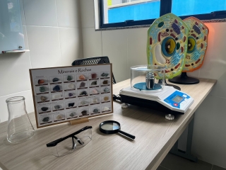 f6ee7b03-a251-4b45-ba47-b1d8fcaeb0ab